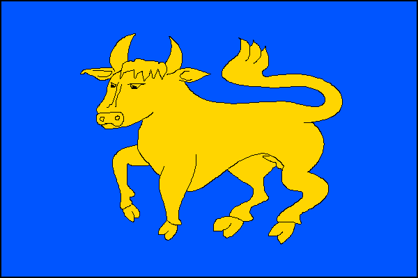 city flag