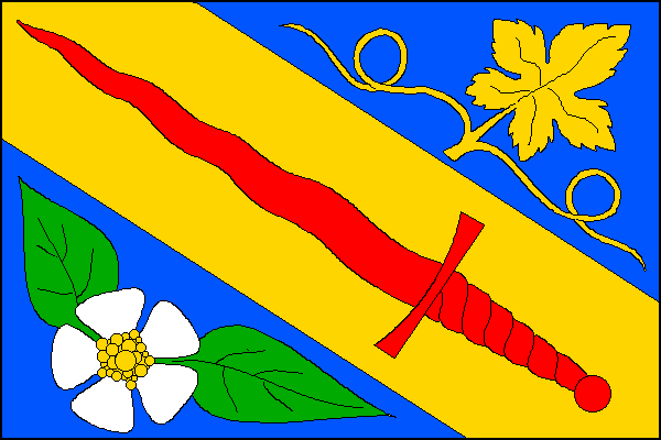 city flag