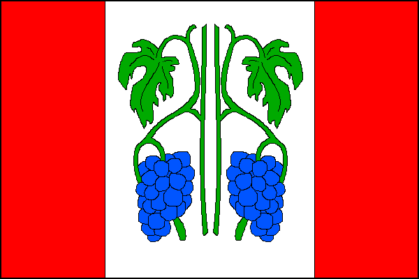 city flag