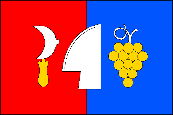 city flag