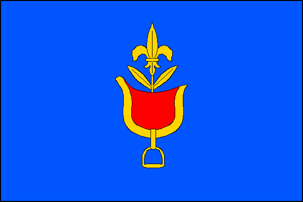 city flag