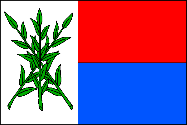 city flag