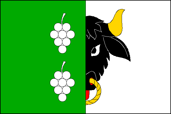 city flag