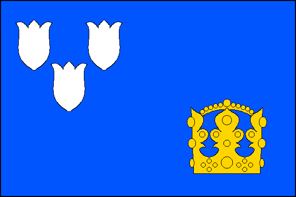 city flag