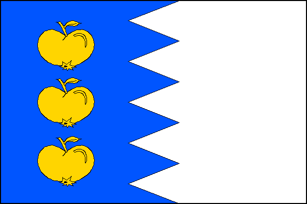 city flag