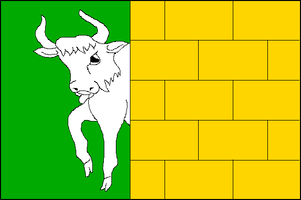 city flag