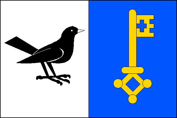 city flag