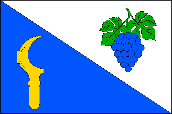 city flag