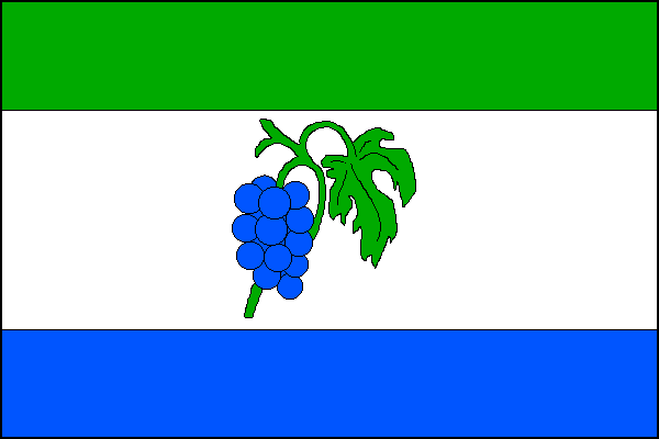 city flag