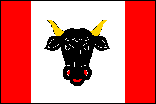 city flag