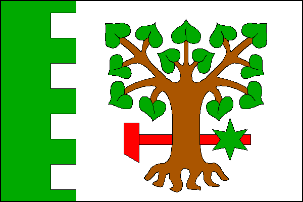 city flag