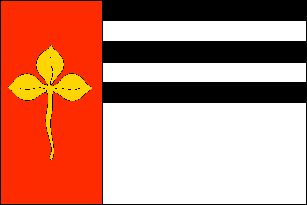 city flag