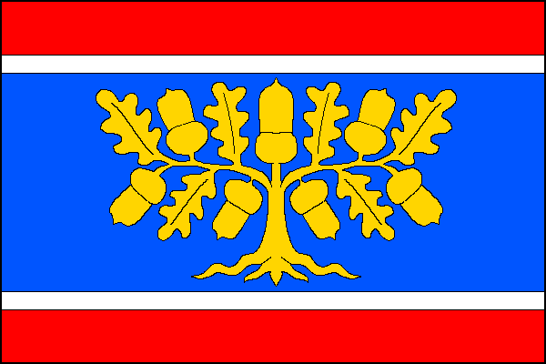 city flag