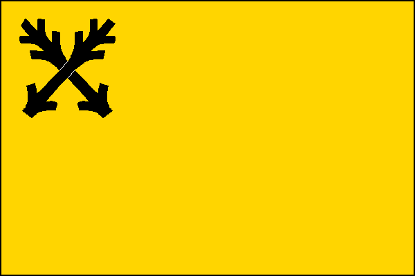 city flag