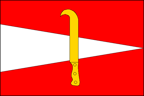 city flag