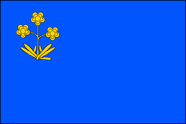 city flag