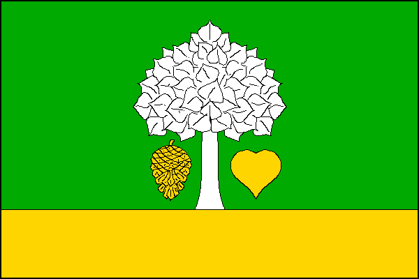 city flag