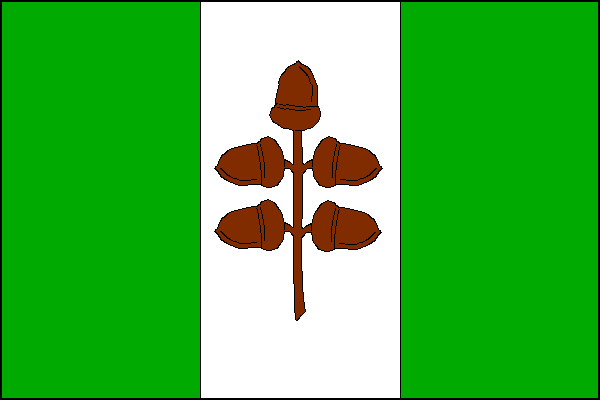 city flag