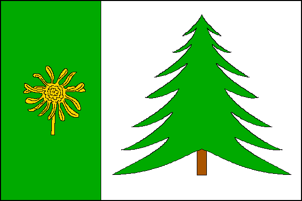 city flag