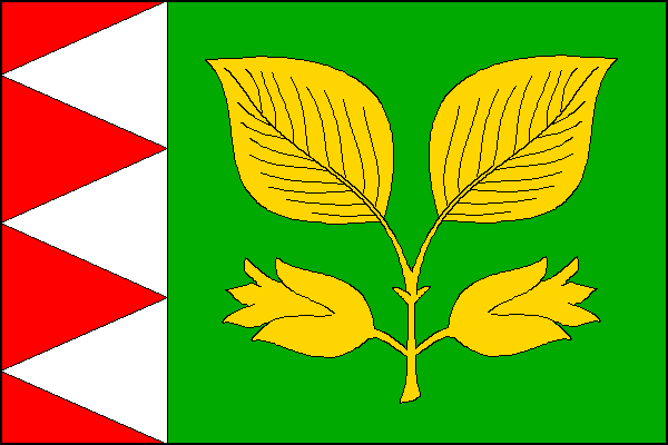 city flag