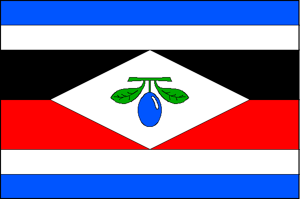 city flag