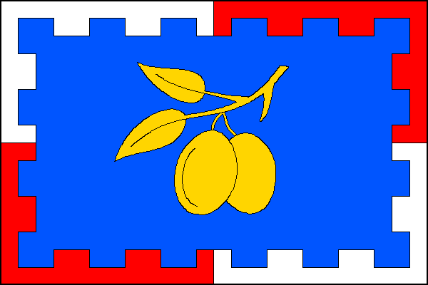 city flag