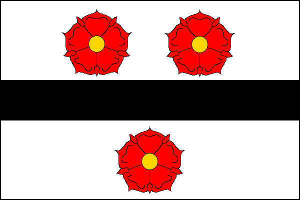 city flag