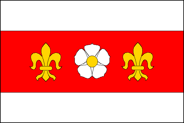 city flag