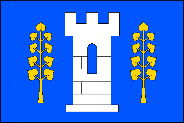 city flag