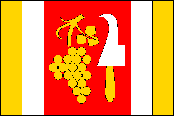 city flag