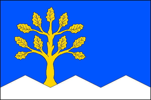 city flag