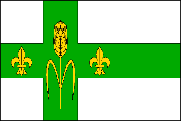 city flag