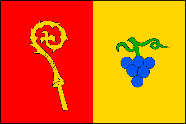 city flag