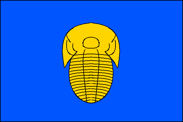 city flag