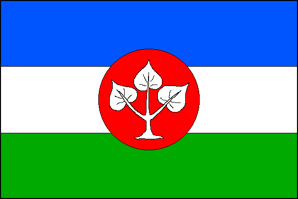 city flag