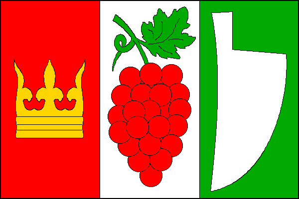 city flag