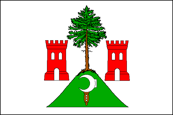 city flag