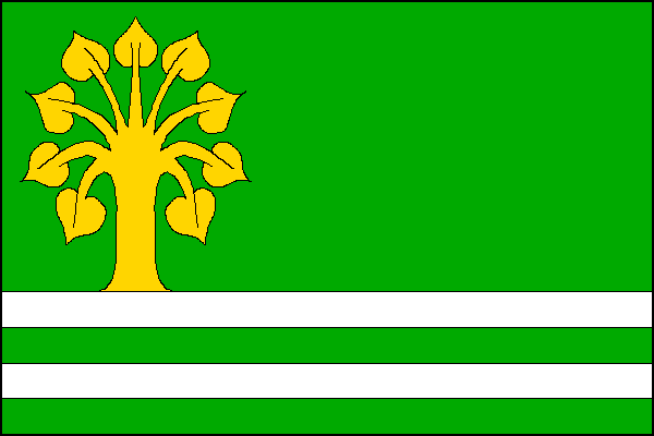 city flag