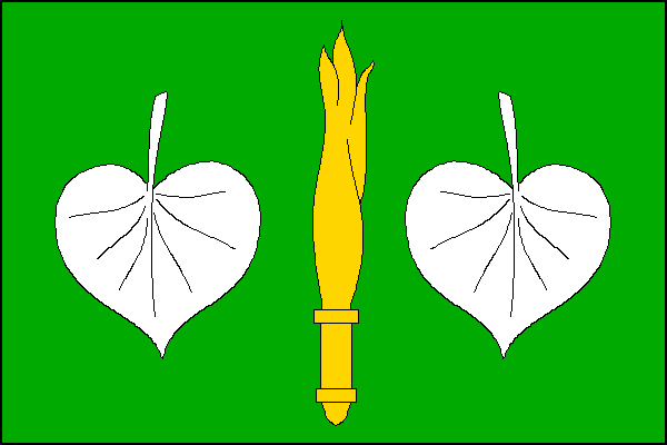 city flag