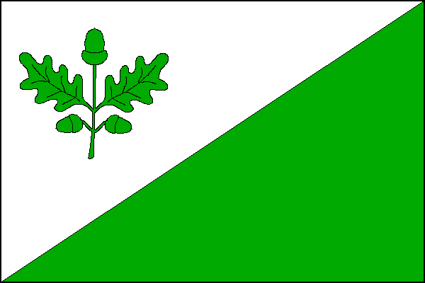 city flag