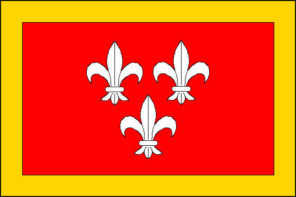 city flag