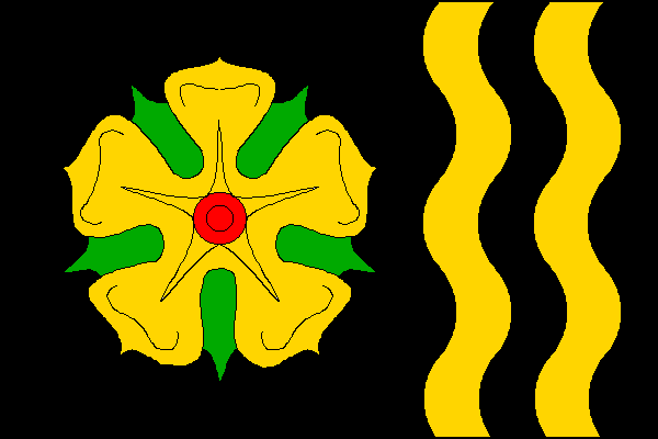 city flag