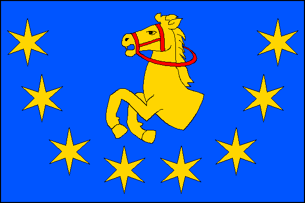 city flag