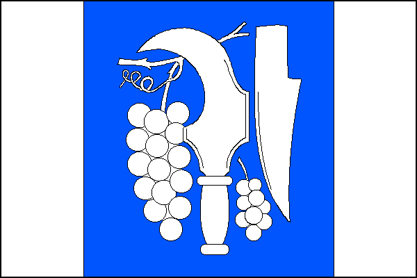 city flag