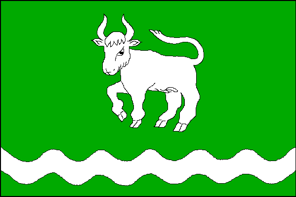 city flag