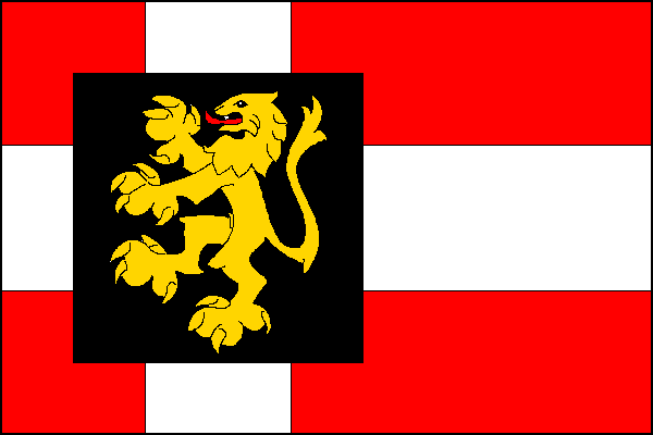 city flag