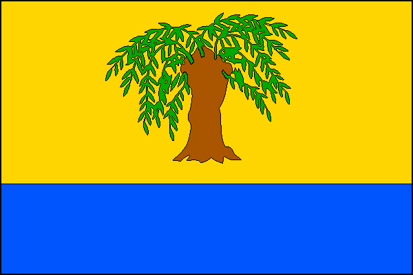 city flag