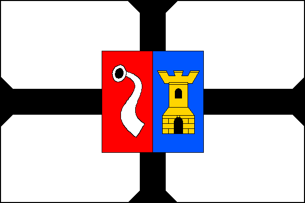 city flag