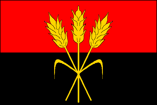 city flag