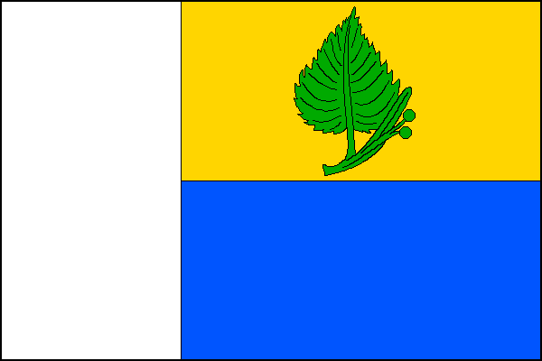 city flag